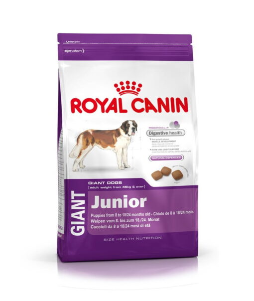 Royal Giant Junior