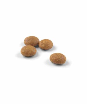 SinaVet Royal Canin Cat Dry Food Active Life Outdoor 2