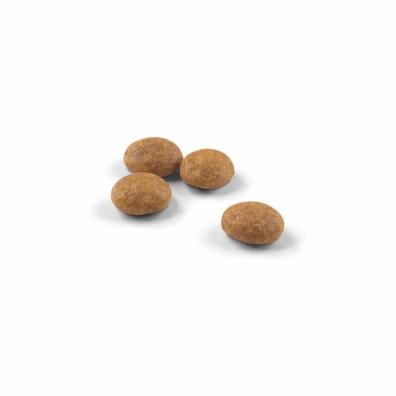 SinaVet Royal Canin Cat Dry Food Active Life Outdoor 2