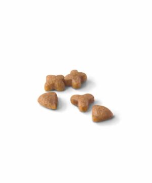 SinaVet Royal Canin Cat Dry Food Regular Sensible 33 2