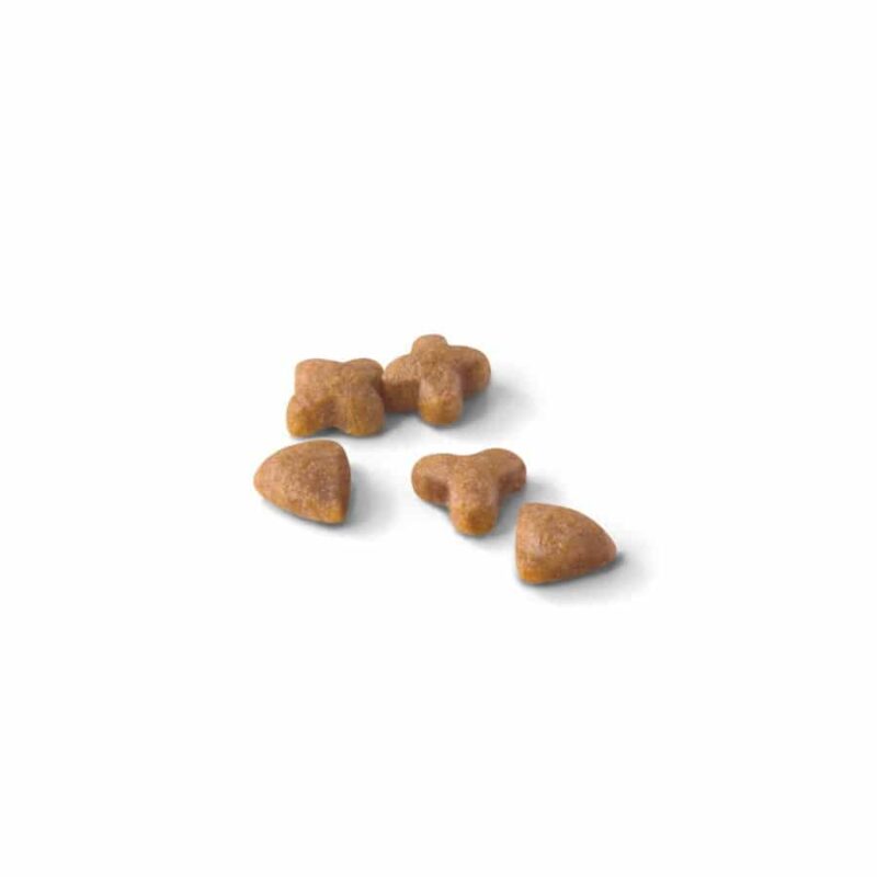 SinaVet Royal Canin Cat Dry Food Regular Sensible 33 2