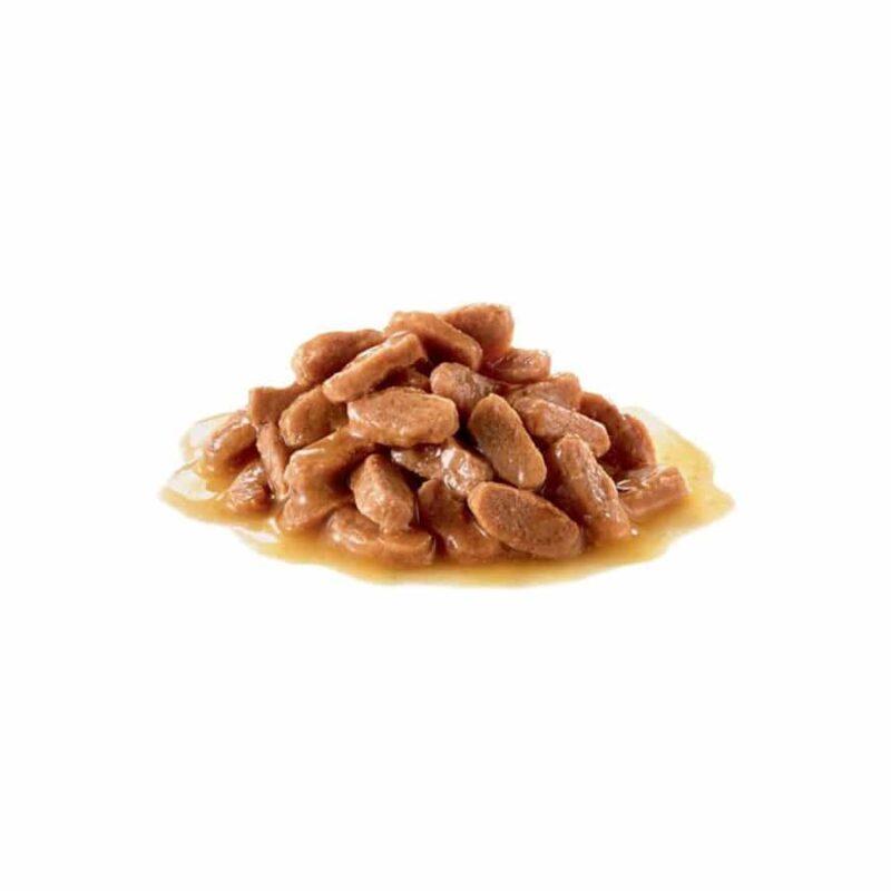پوچ بچه گربه ۴ تا ۱۲ ماه در آبِ گوشت، ۸۵ گرمی، برند رویال کنین 3
