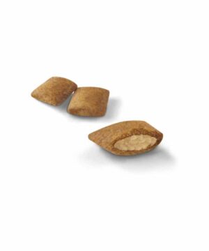 SinaVet Royal Canin Cat Dry Food Senior Ageing 12+ 2