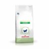 Sinavet Royal Canin Cat Dry Food VCN Pediatric Weaning 2 kg