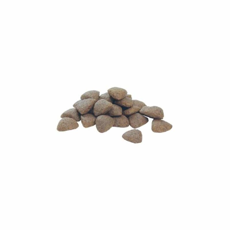 Sinavet Pro Plan Dog Dry Food Medium Adult Rich in Chicken 3 kg 3