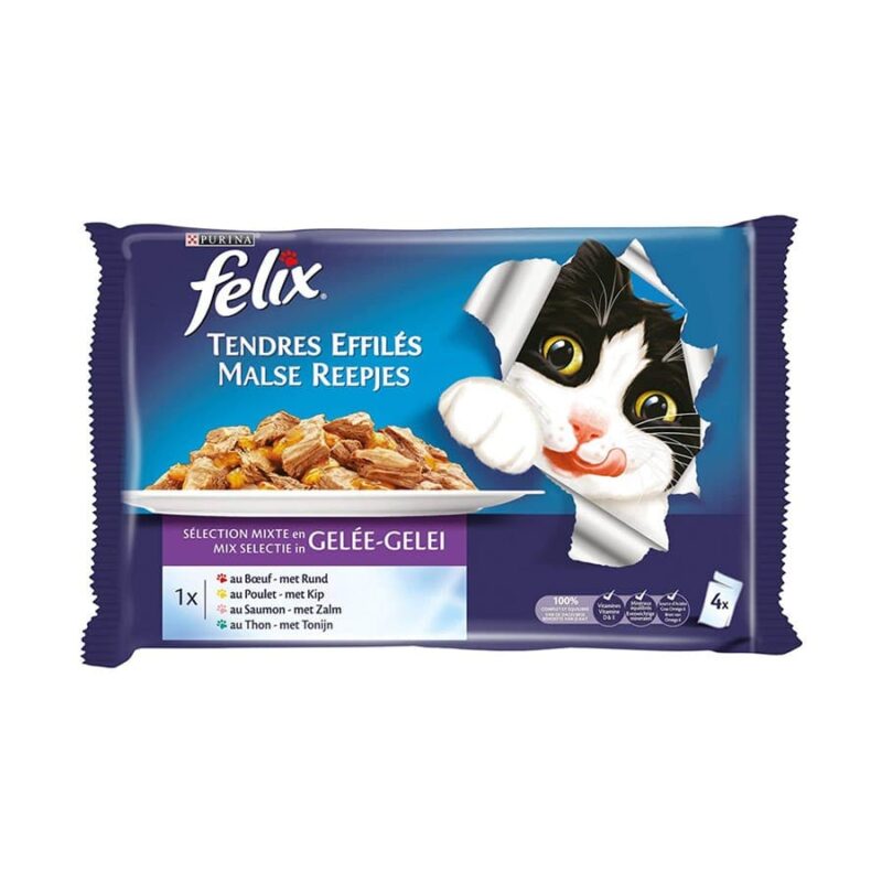 Sinavet Felix Cat Wet Food Pouch 4100 g