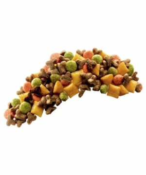 غذای خشک بچه گربه، حاوی مرغ، 300 گرمی، برند ویسکاس 2