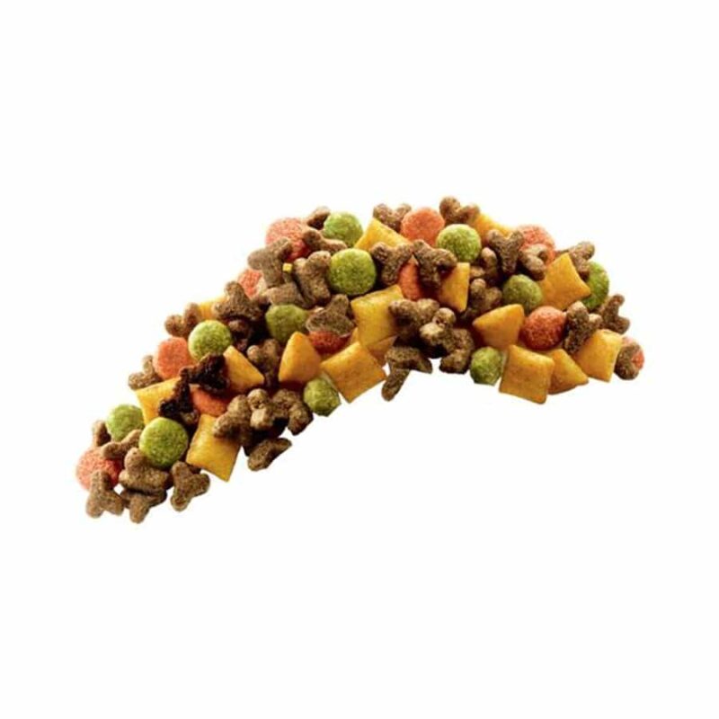 غذای خشک بچه گربه، حاوی مرغ، 300 گرمی، برند ویسکاس 2