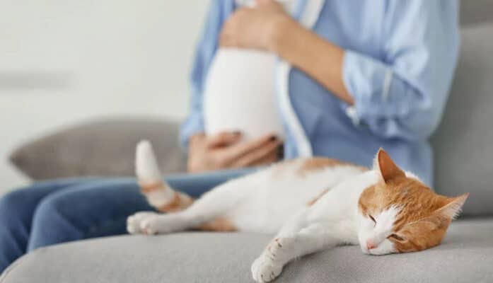 گربه ها و زنان باردار