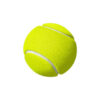 توپ تنیس، برای بازی سگ و گربه، نیناپت