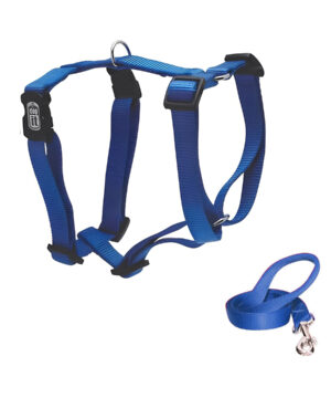قلاده تنی سگ با بند قلاده، ساده، سایز M، داگیت، آبی
