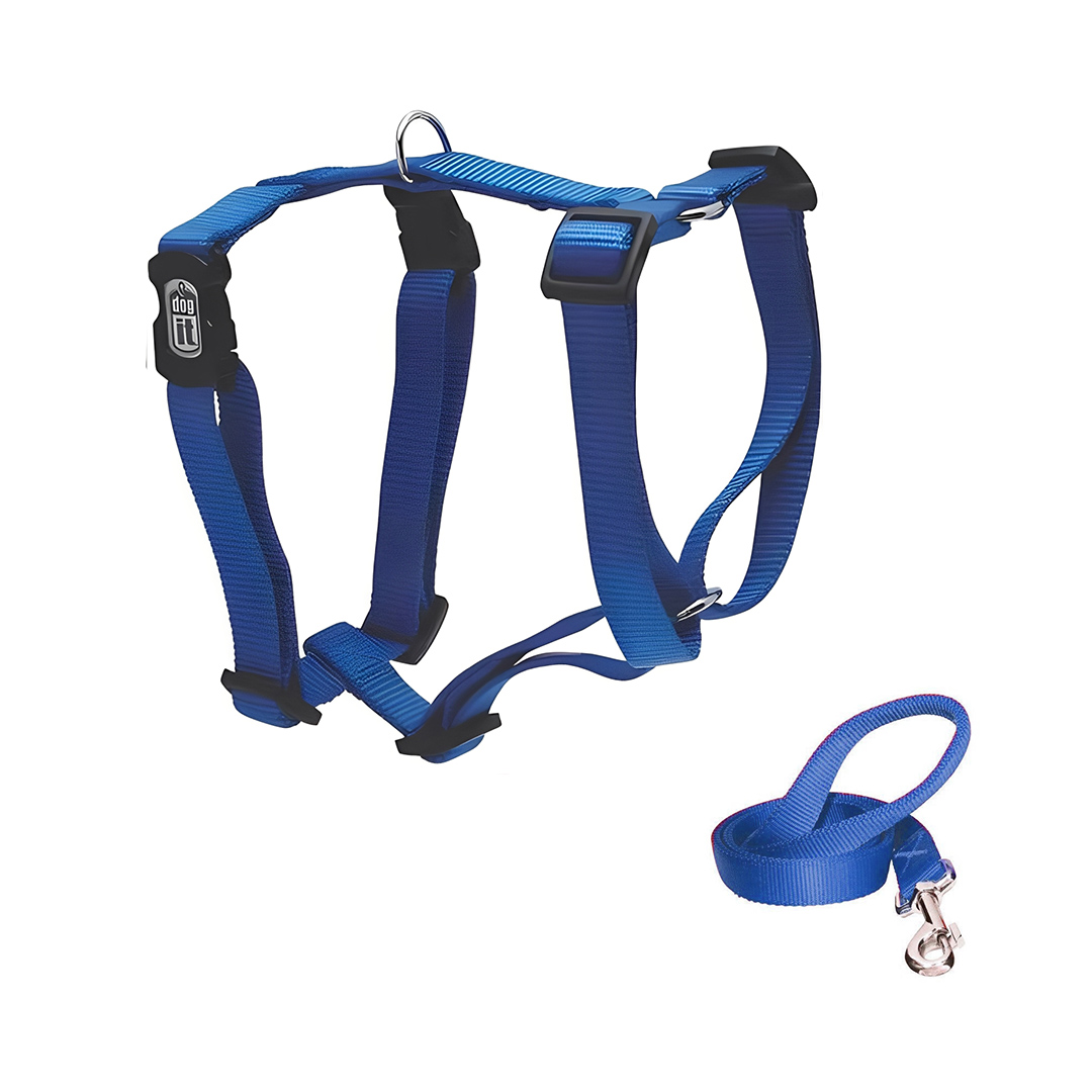 قلاده تنی سگ با بند قلاده، ساده، سایز M، داگیت، آبی