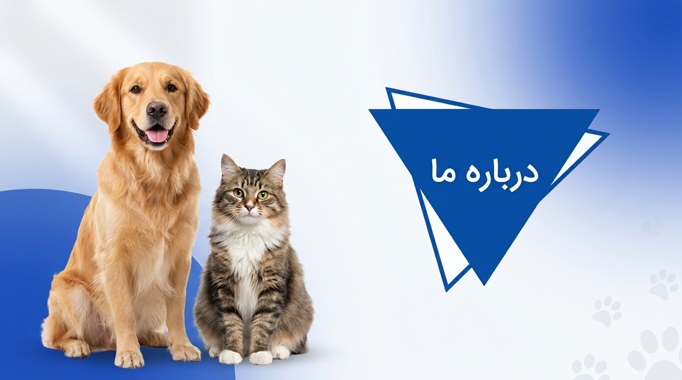 بنر درباره ما - سیناوت