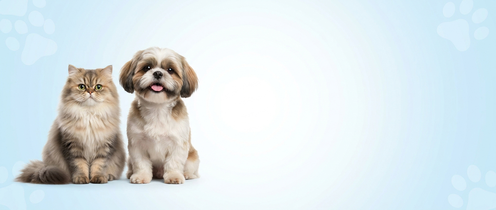 Sinavet-blog-header-banner